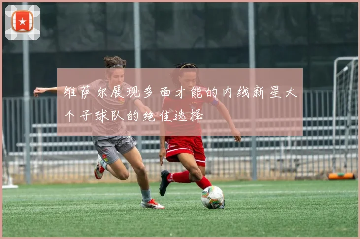 维萨尔展现多面才能的内线新星大个子球队的绝佳选择